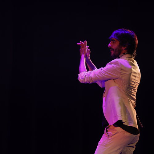 Flamenco! Pasión, Corazón y Alma